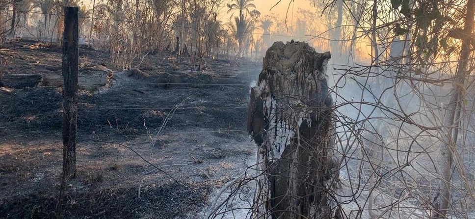 OPERAÇÃO HILEIA: Governo de Rondônia realiza ações preventivas e repressivas contra delitos ao meio ambiente - News Rondônia
