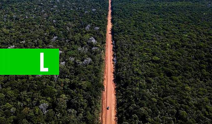 Alemanha doará R$ 163,5 milhões para financiar o agronegócio sustentável na Amazônia Legal - News Rondônia