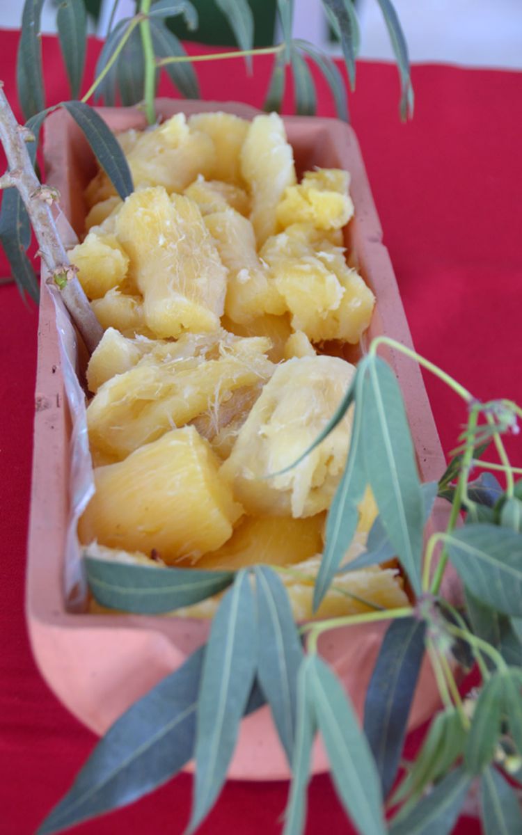 QUINTA-FESTA DA MANDIOCA GARANTE MAIS VISIBILIDADE À PRODUÇÃO DOS AGRICULTORES DE RIACHO AZUL - News Rondônia