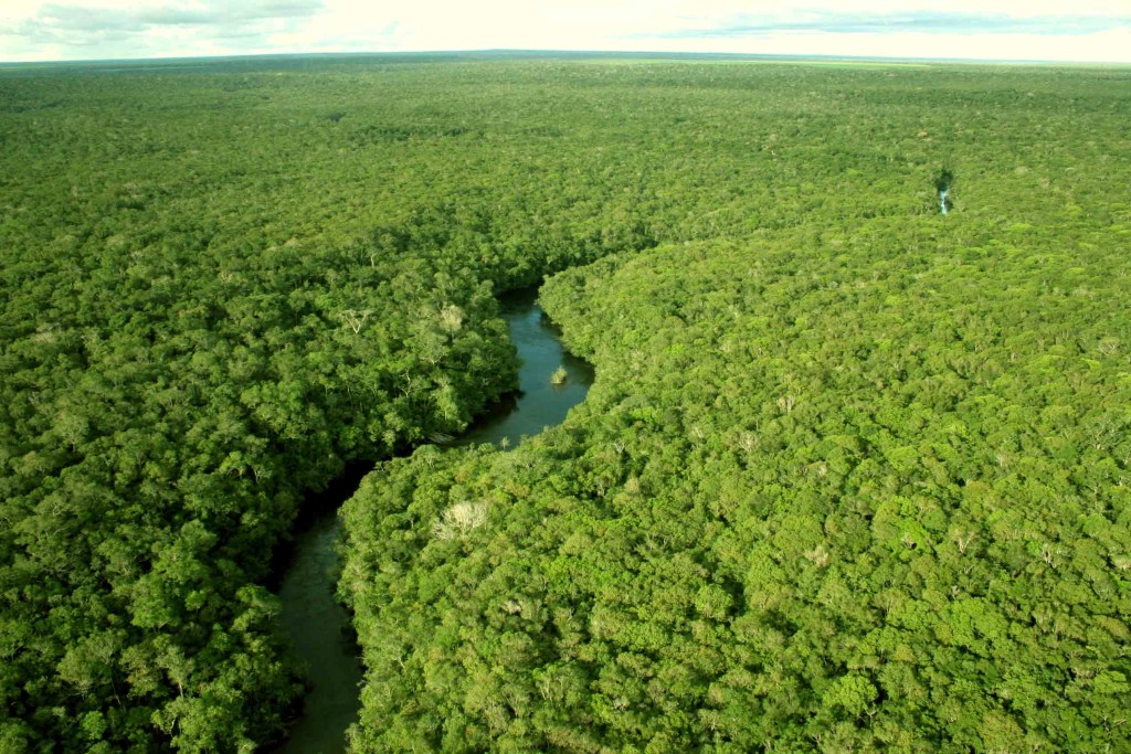 Audiência Pública vai debater proposta do edital para concessão da Flona do Jamari - News Rondônia
