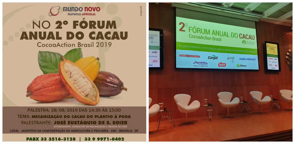 RONDÔNIA TAMBÉM É CACAU - News Rondônia