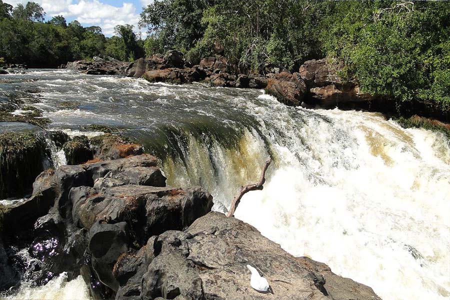 Extrativistas da Resex do Rio Cautário participam de formação em boas práticas de coleta e manejo de sementes - News Rondônia