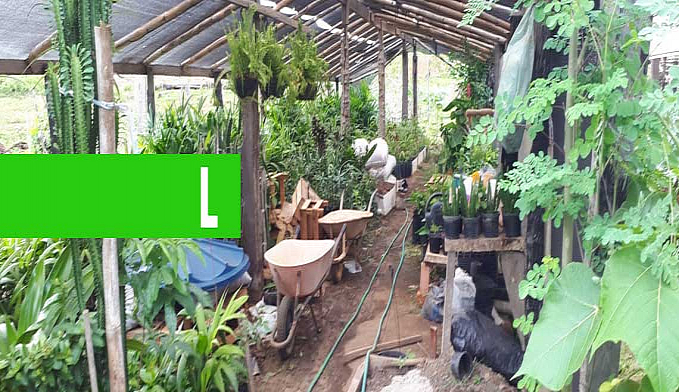 AGRICULTURA: SECRETÁRIO VISITA SÍTIO MODELO NO REASSENTAMENTO SÃO DOMINGOS - News Rondônia