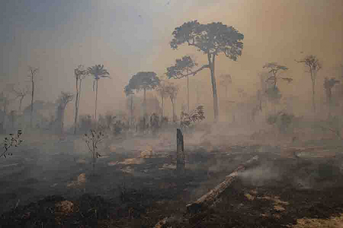 Desmatamento na Amazônia na temporada 2020/2021 é o maior dos últimos dez anos, diz Imazon - News Rondônia