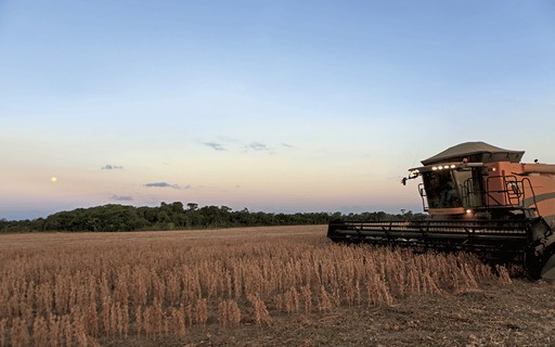 CONAB SUSTENTA ESTIMATIVA DE PRODUÇÃO ACIMA DE 250 MILHÕES DE TONELADAS - News Rondônia
