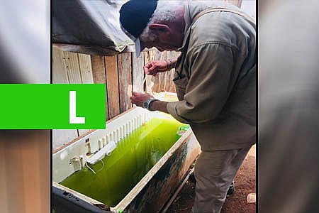 SEMUSA INTENSIFICA AÇÕES APÓS LIRAA MOSTRAR AUMENTO NO ÍNDICE DE INFESTAÇÃO DO AEDES AEGYPTI - News Rondônia
