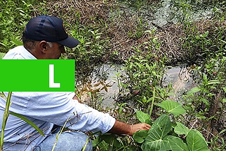 NÃO APENAS EVITAR O DESPERDÍCIO, MAS CONSERVAR NASCENTES GARANTE ÁGUA POTÁVEL A RONDÔNIA E AO PAÍS - News Rondônia