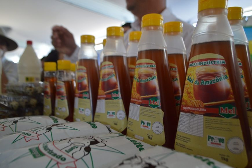 Apicultura - Rondônia ocupa a 8ª posição no ranking nacional de produção de mel de abelha - News Rondônia