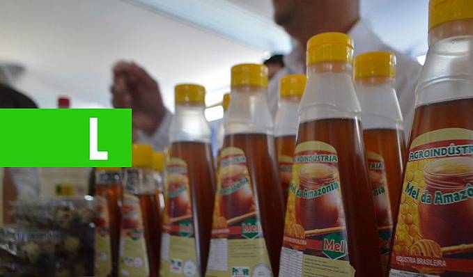 Apicultura - Rondônia ocupa a 8ª posição no ranking nacional de produção de mel de abelha - News Rondônia