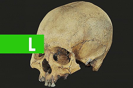 MUSEU DA MEMÓRIA RONDONIENSE MOSTRARÁ NA CAMPUS PARTY RECONSTITUIÇÃO FACIAL DE CRÂNIO HUMANO COM TRÊS MIL ANOS - News Rondônia
