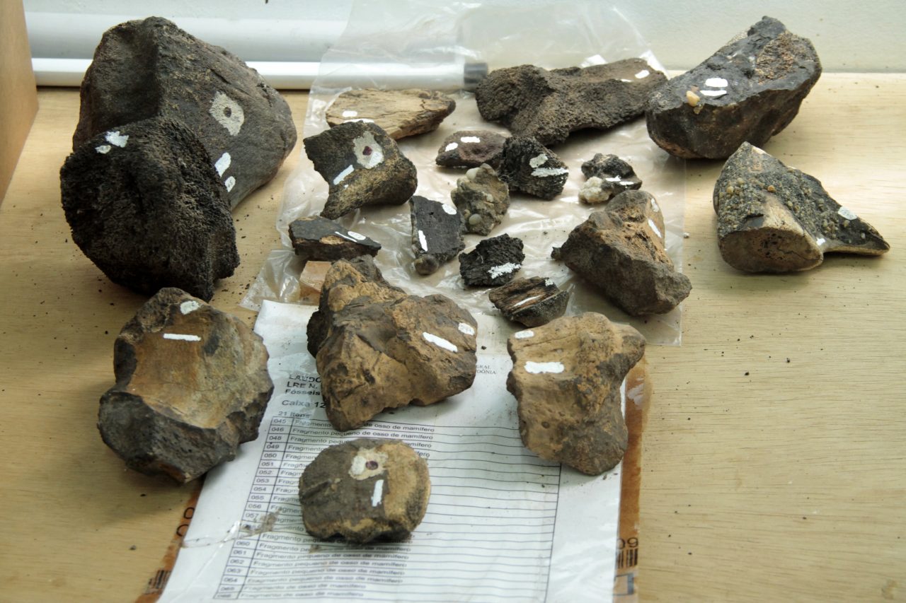 MUSEU DA MEMÓRIA RONDONIENSE MOSTRARÁ NA CAMPUS PARTY RECONSTITUIÇÃO FACIAL DE CRÂNIO HUMANO COM TRÊS MIL ANOS - News Rondônia