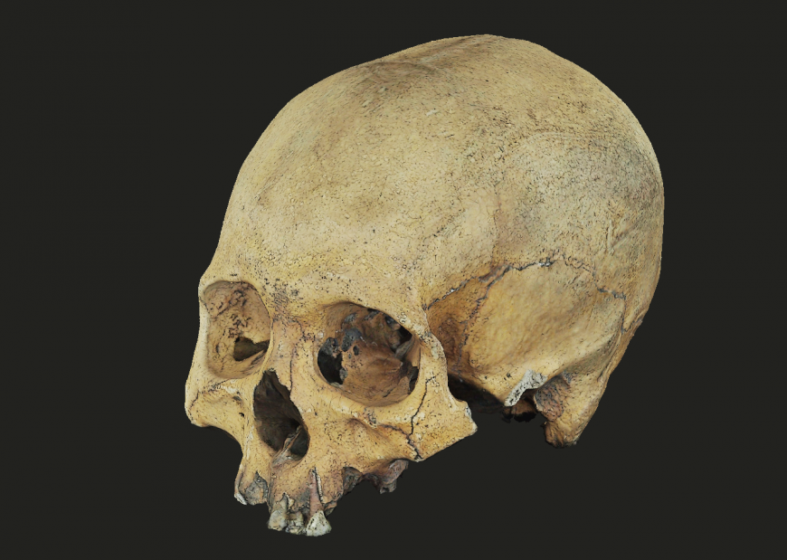 MUSEU DA MEMÓRIA RONDONIENSE MOSTRARÁ NA CAMPUS PARTY RECONSTITUIÇÃO FACIAL DE CRÂNIO HUMANO COM TRÊS MIL ANOS - News Rondônia
