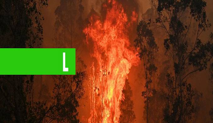 AUSTRÁLIA AUTORIZA RETIRADA DE PESSOAS À FORÇA DE REGIÕES INCENDIADAS - News Rondônia