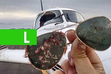 AVIÃO COLIDE COM PEIXE DURANTE VOO - VÍDEO - News Rondônia