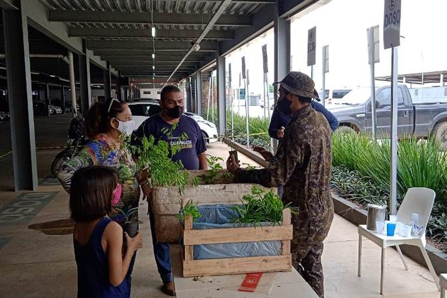 140 mudas são distribuídas no Fórum César Montenegro - News Rondônia