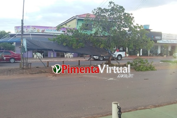 MOTORISTA PERDE CONTROLE DA DIREÇÃO E DESTRÓI PONTO DE MOTO-TÁXI EM PIMENTA BUENO - News Rondônia