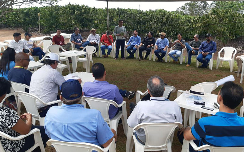 TÉCNICOS E EMPRESÁRIOS CONHECEM POTENCIALIDADE DO CAFÉ PRODUZIDO EM RONDÔNIA - News Rondônia
