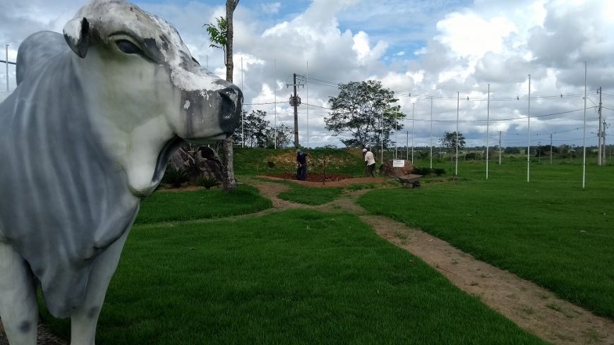 PEIXES AMAZÔNICOS SÃO ATRATIVOS INCORPORADOS AO PAISAGISMO DA PRAÇA DAS BANDEIRAS, NA 8ª RONDÔNIA RURAL SHOW EM JI-PARANÁ - News Rondônia