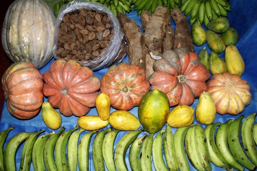 PROGRAMA DE ALIMENTAÇÃO ESCOLAR INVESTE MAIS DE R$ 3 MILHÕES EM COMPRAS, INCLUINDO PEIXES, NO MUNICÍPIO DE PORTO VELHO - News Rondônia