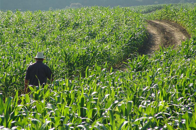 Agricultores familiares já podem consultar produtos com direito a bônus do PGPAF em janeiro - News Rondônia