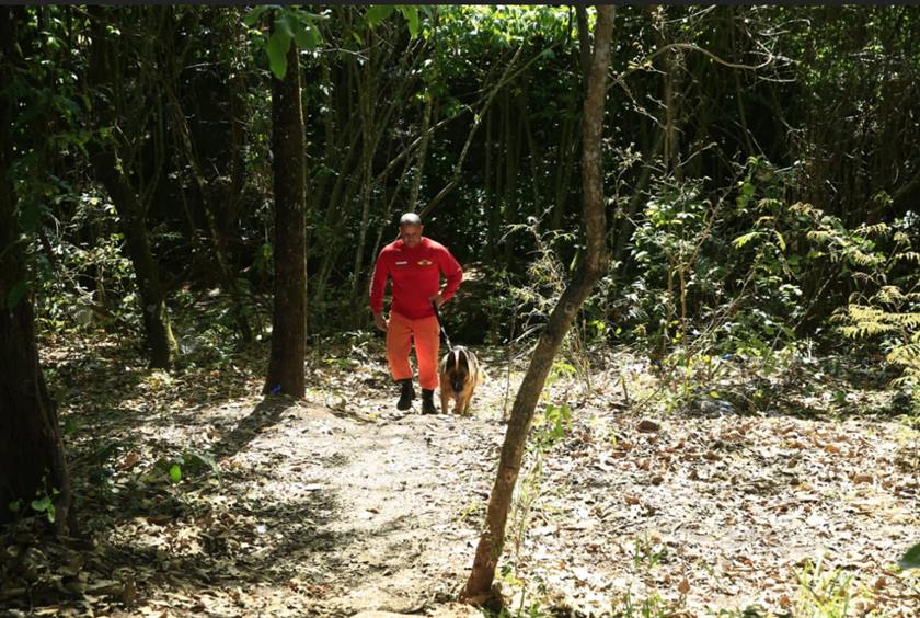 MULHER ACHADA NUA NA ASA NORTE FOI EXECUTADA COM CERCA DE 10 TIROS - News Rondônia