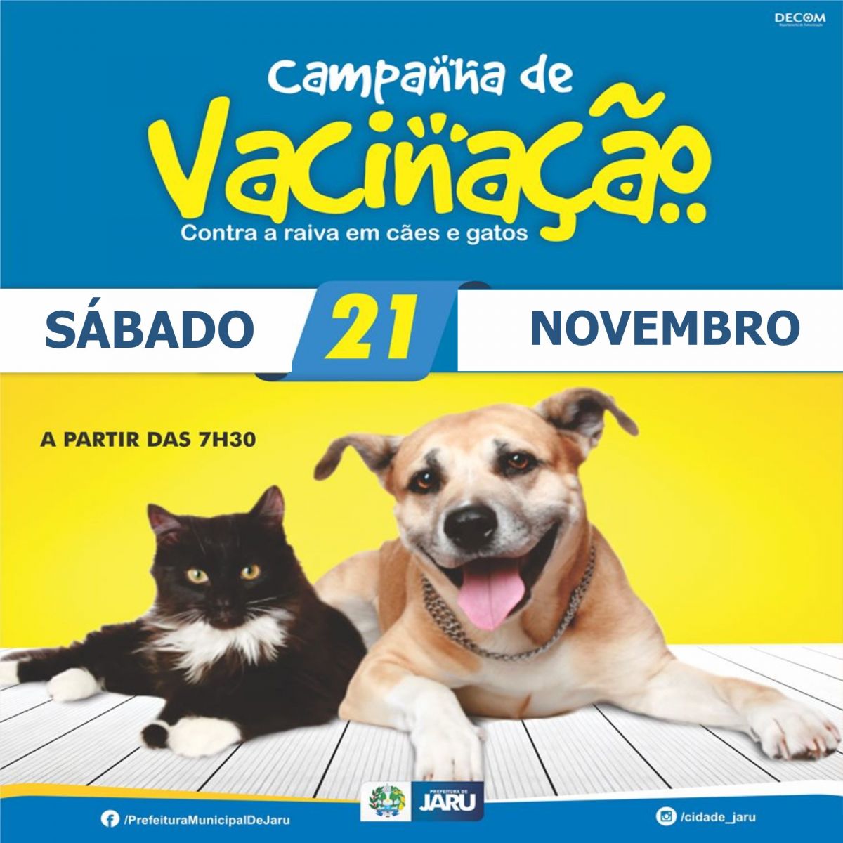 Campanha de vacinação contra a raiva é neste sábado, 21; cerca de 12 mil animais devem ser imunizados - News Rondônia