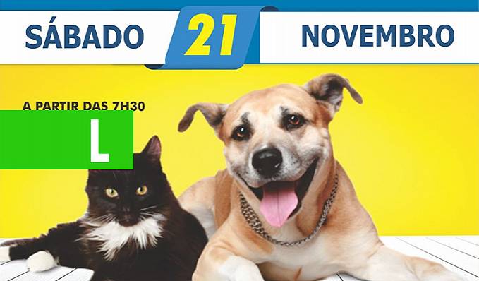Campanha de vacinação contra a raiva é neste sábado, 21; cerca de 12 mil animais devem ser imunizados - News Rondônia