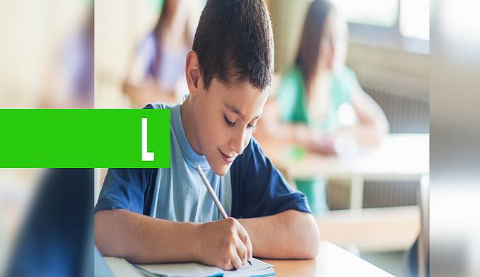 CENSO ESCOLAR CONSTATA QUEDA NAS MATRÍCULAS NO ENSINO MÉDIO BRASILEIRO - News Rondônia