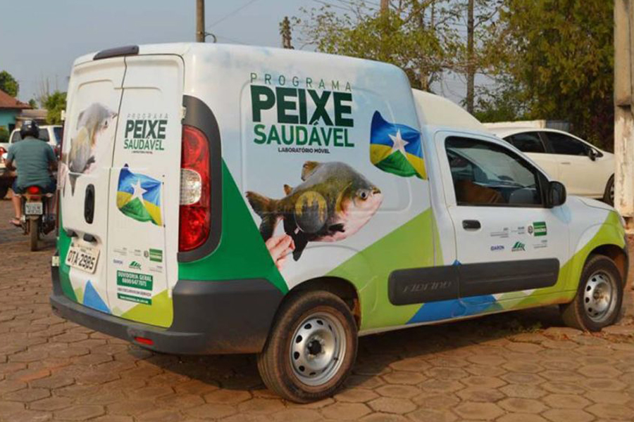 Técnicos da Emater e piscicultores da Zona da Mata recebem capacitação por meio do programa 'Peixe Saudável' - News Rondônia