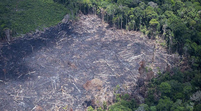 Lenha na fogueira: Dia da Amazônia - News Rondônia
