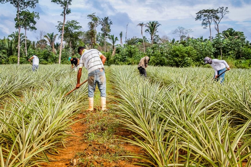 MAIS DE 160 CURSOS DE CAPACITAÇÃO REALIZADOS EM 2018 NOS PRESÍDIOS DE RONDÔNIA, 3.360 VAGAS FORAM OFERTADAS - News Rondônia