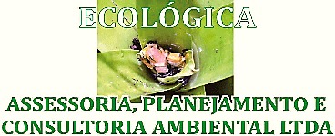 Requerimento da Licença Ambiental: S A V DE VARGAS (nome fantasia SANDRO VARGAS ARQUITETURA E PROJETOS) - News Rondônia
