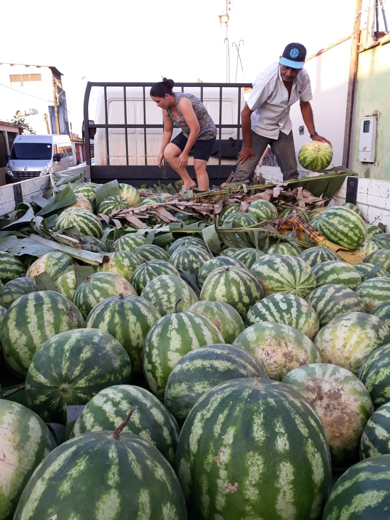 PREFEITURA DE PORTO VELHO TRANSPORTA CERCA DE 100 TONELADAS DE PRODUÇÃO AGRÍCOLA POR MÊS - News Rondônia