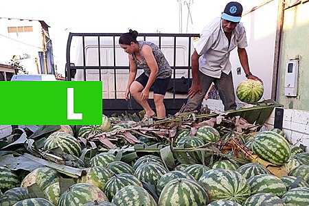 PREFEITURA DE PORTO VELHO TRANSPORTA CERCA DE 100 TONELADAS DE PRODUÇÃO AGRÍCOLA POR MÊS - News Rondônia