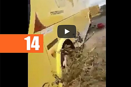 VÍDEO MOSTRA DESESPERO DE PASSAGEIROS APÓS COLISÃO ENTRE CARRETA E ÔNIBUS - News Rondônia