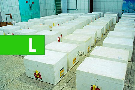 MAIS DE 400 MIL PESSOAS DOS GRUPOS DE PRIORIDADES DEVEM SER IMUNIZADAS CONTRA O VÍRUS H1N1 EM RONDÔNIA - News Rondônia