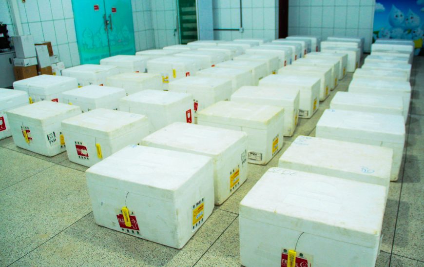 MAIS DE 400 MIL PESSOAS DOS GRUPOS DE PRIORIDADES DEVEM SER IMUNIZADAS CONTRA O VÍRUS H1N1 EM RONDÔNIA - News Rondônia