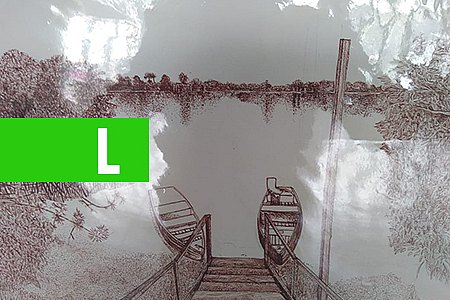EXPOSIÇÃO PIRACEMA, SEXTA NA GAL DA IVAN MARROCOS - News Rondônia