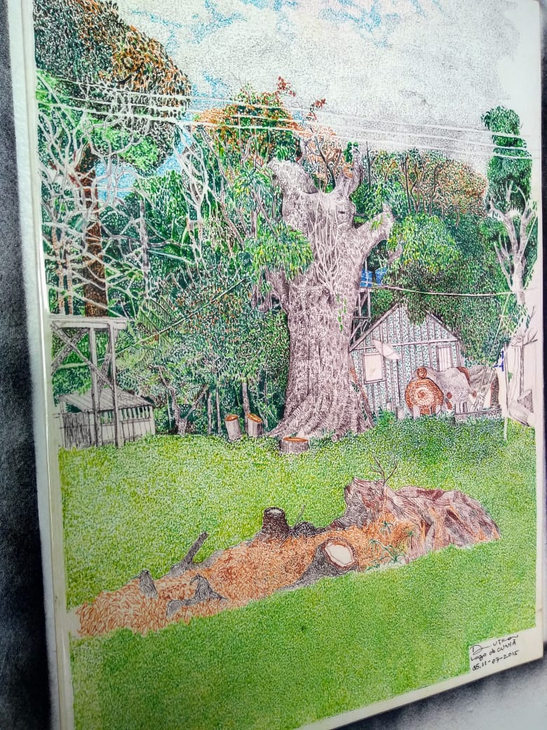 EXPOSIÇÃO PIRACEMA, SEXTA NA GAL DA IVAN MARROCOS - News Rondônia