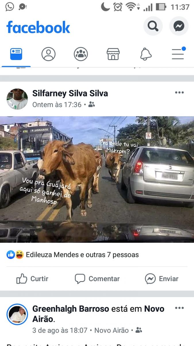 LENHA NA FOGUEIRA: APURAÇÃO DOS VOTOS DOS JULGADORES QUE ATUARAM NO ARRAIAL DO FLOR DO MARACUJÁ - News Rondônia
