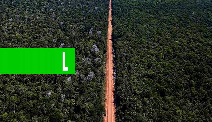 Governo Federal publica edital para pavimentação da BR-319/AM - News Rondônia