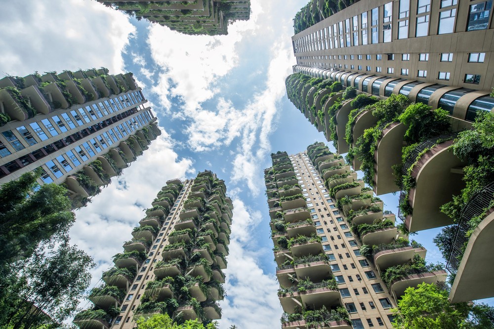 Plantas 'invadem' apartamentos de prédios residenciais na China - News Rondônia