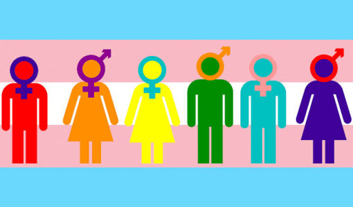Eleições 2020 têm 159 candidatos transgênero com nome social - News Rondônia