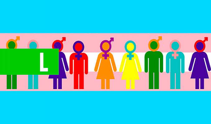 Eleições 2020 têm 159 candidatos transgênero com nome social - News Rondônia