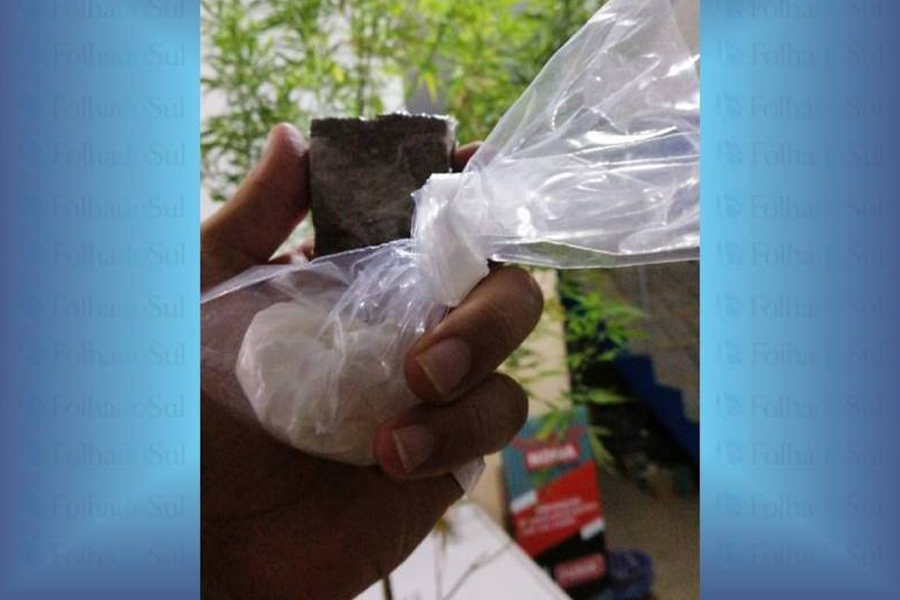 Força Tática apreende pé de maconha em quarto de adolescente; porção pronta para consumo também foi encontrada - News Rondônia