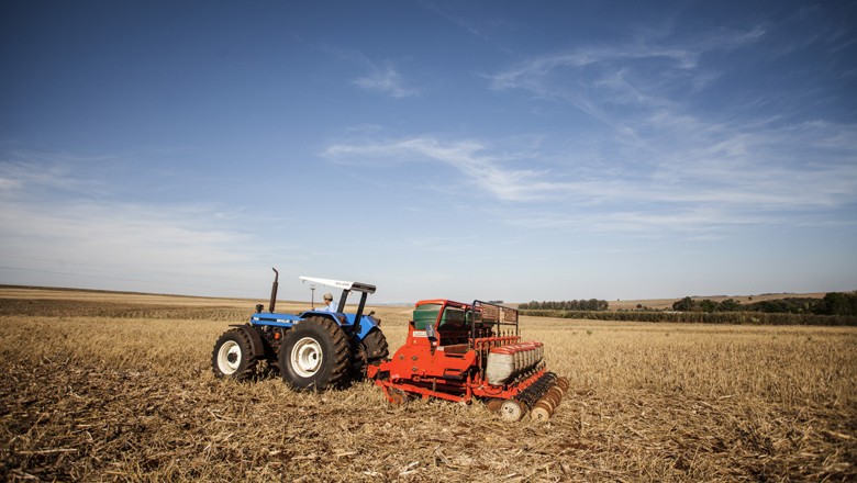 CONAB REGISTRA DESTAQUE HISTÓRICO PARA PRODUÇÃO DE 230 MI T E ÁREA DE 61,6 MI HA - News Rondônia