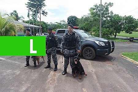 COM INÍCIO DO CAMPEONATO RONDONIENSE, CÃES DA PM INTENSIFICAM TREINAMENTO PARA AÇÕES DE GUARDA E PROTEÇÃO DENTRO DO ESTÁDIO - News Rondônia