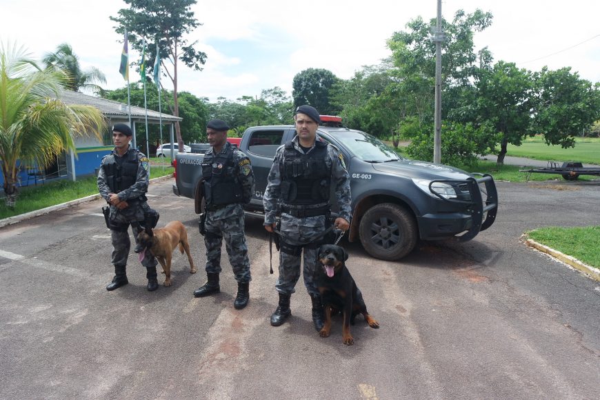 COM INÍCIO DO CAMPEONATO RONDONIENSE, CÃES DA PM INTENSIFICAM TREINAMENTO PARA AÇÕES DE GUARDA E PROTEÇÃO DENTRO DO ESTÁDIO - News Rondônia