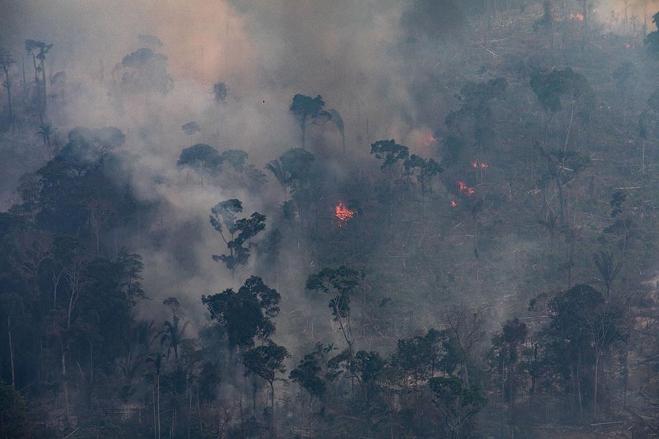 COM EXÉRCITO HÁ UM MÊS NA AMAZÔNIA, QUEIMADA DIMINUI E DESMATE AUMENTA - News Rondônia