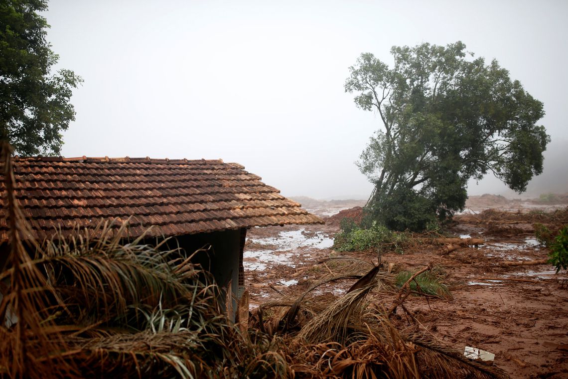 NÚMERO DE MORTOS EM BRUMADINHO CHEGA A 84; 42 FORAM IDENTIFICADOS - News Rondônia